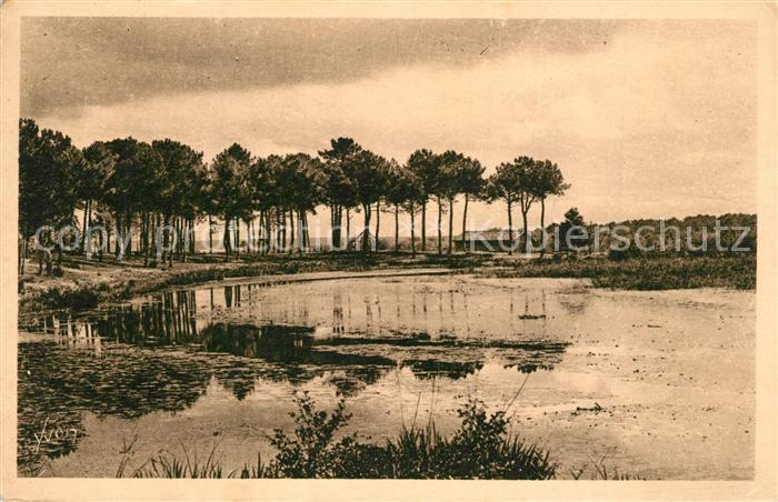 Mimizan Landes Etang d`Aureilhan