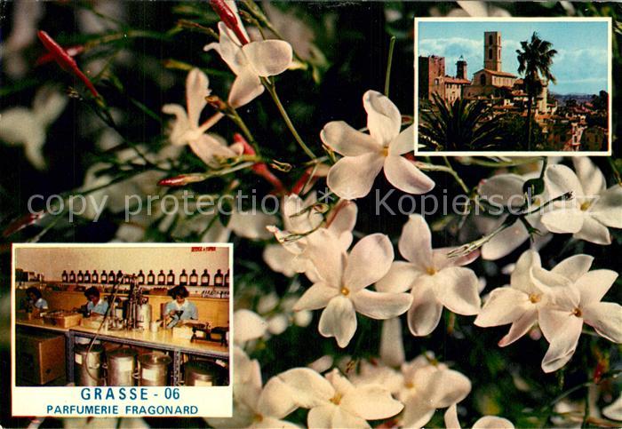 Grasse Alpes Maritimes Cit? des Fleurs et des Parfums Cathedra