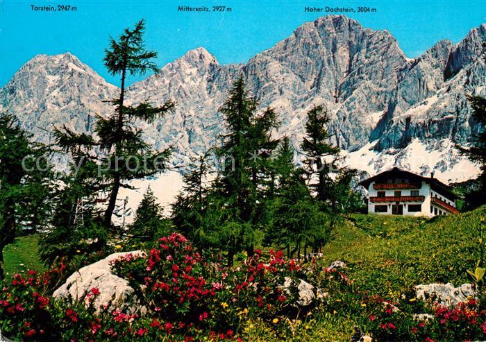 Ramsau Dachstein Steiermark Berghotel Tuerlwand mit Dachsteinsuedwand