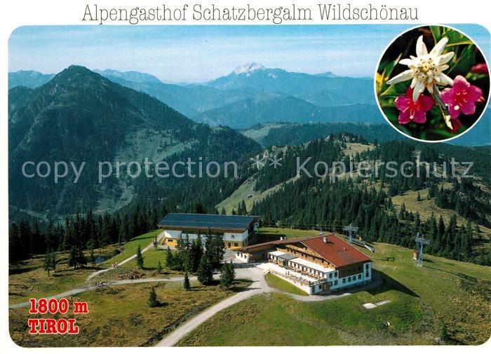 Thierbach Wildschoenau Alpengasthof Schatzbergalm Alpenflora Edelweiss Alpenpano