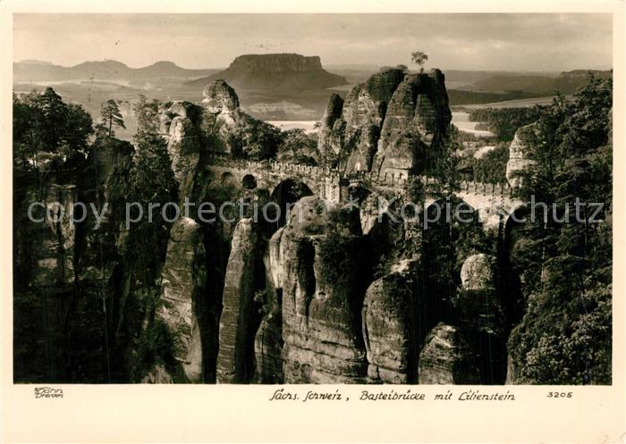 Foto Hahn Nr. 3205 Basteibr?cke Lilienstein