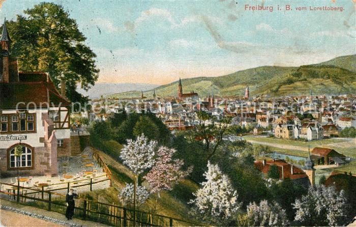 Freiburg Breisgau Panorama