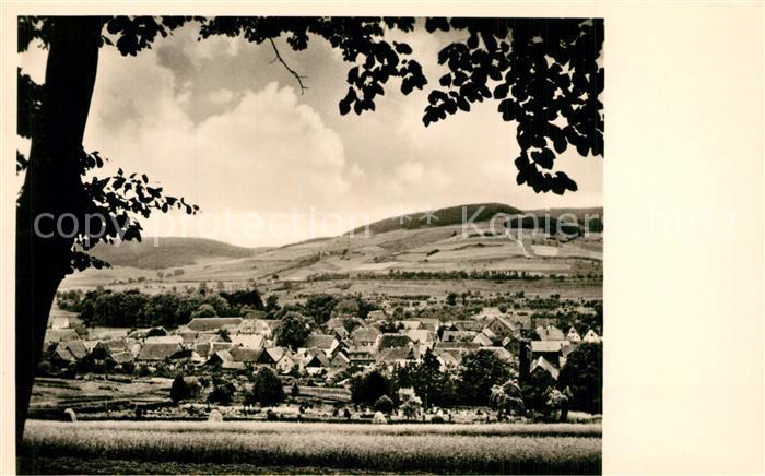 Bruchhausen Hoexter Panorama