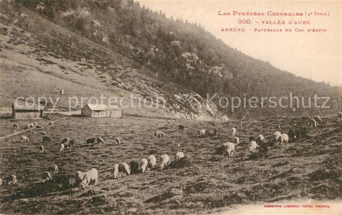 Arreau Vallee d’Aure Paturages du Col d Aspin