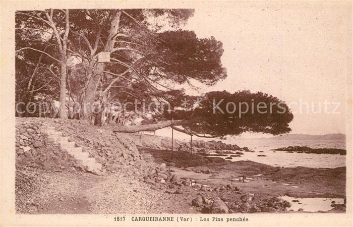 Carqueiranne Les Pins penches