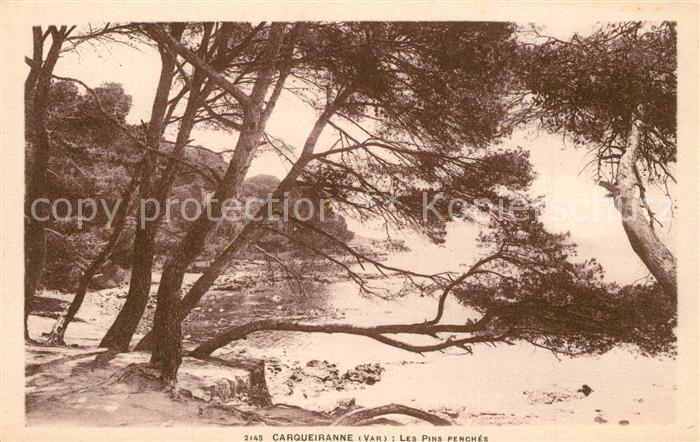 Carqueiranne Les Pins fenches
