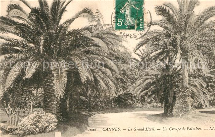 Cannes Alpes-Maritimes Le Grand Hotel Un Groupe de Palmiers