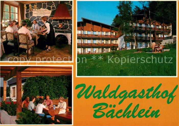 Mitwitz Waldgasthof Baechlein Gaststube Freisitz