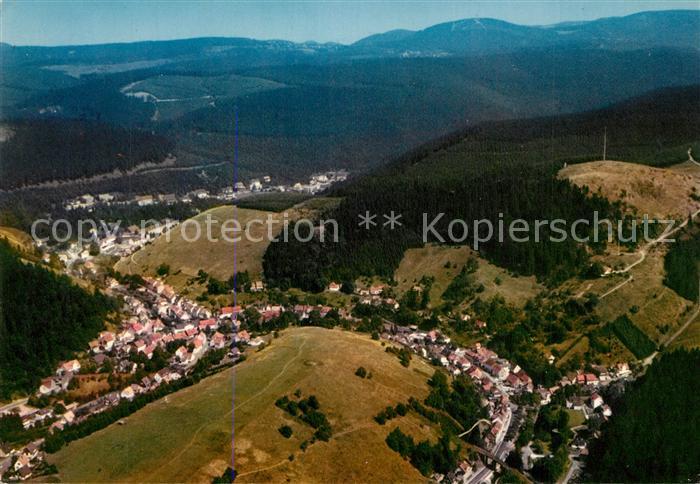 Wildemann Fliegeraufnahme