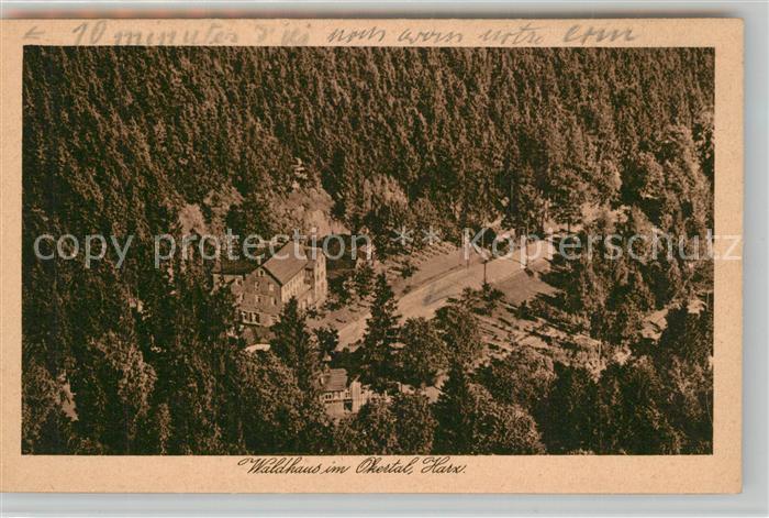 Okertal Hotel Pension Waldhaus