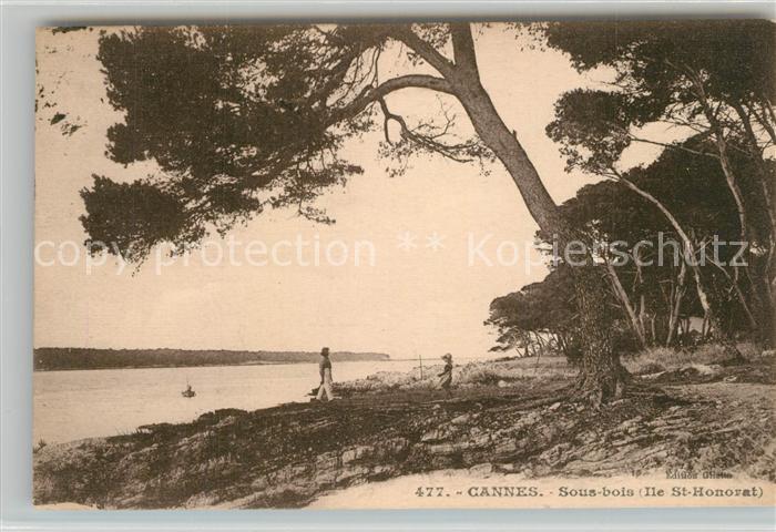 Cannes Alpes-Maritimes Sous bois Ile St Honorat