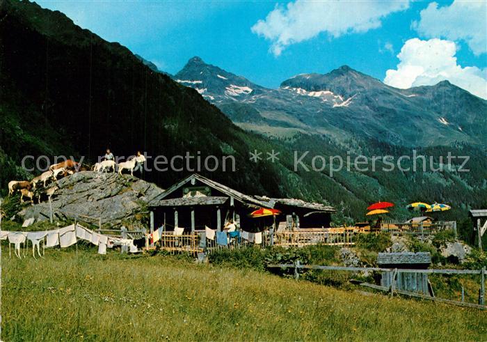 Schladming Obersteiermark Untertal Gf?lleralm am Riesachsee Hohe Wildstelle