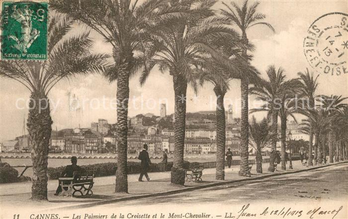 Cannes Alpes-Maritimes Les Palmiers de la Croisette et le Mont Chevalier