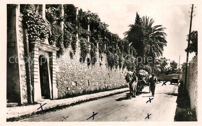 Garavan Menton Avenue de la Frontiere