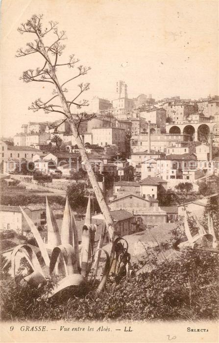 Grasse Alpes Maritimes Vue entre les Aloes