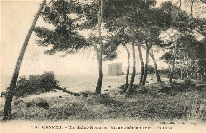 Cannes Alpes-Maritimes Ile Saint Honorat Vieux chateau entre les Pins