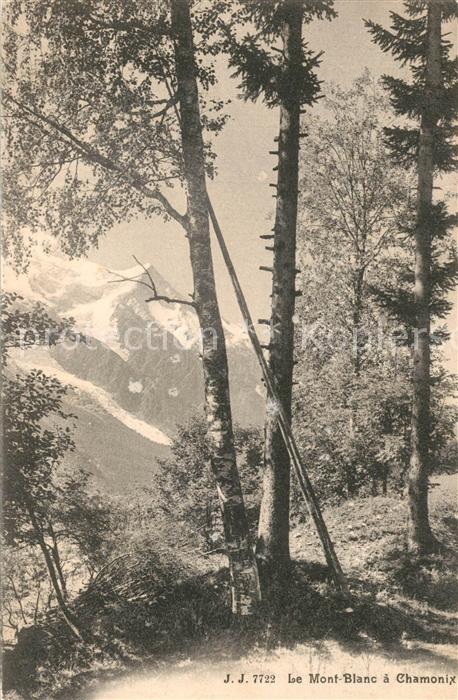 Mont Blanc a Chamonix