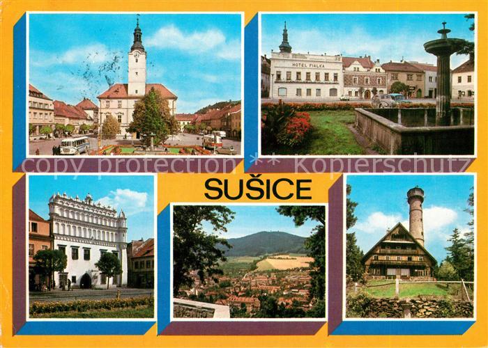 Susice Mesto vzniklo Premysla Otakara Susice lezi Otavy a je branou