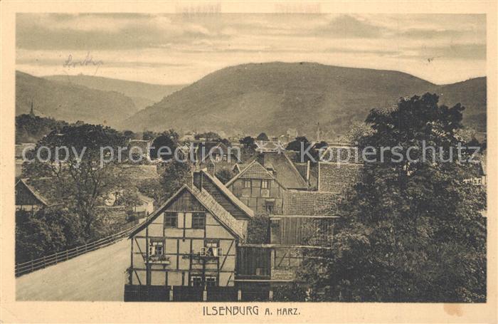 Ilsenburg Harz Panorama
