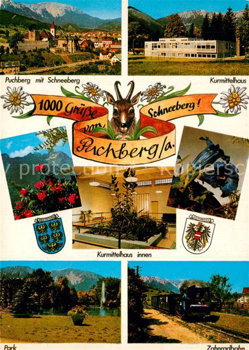 Puchberg Schneeberg Panorama mit Schneeberg Kurmittelhaus Park Zahnradbahn Alpen