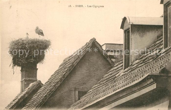 Barr Bas-Rhin Les Cigognes