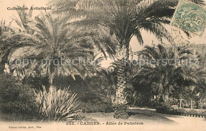 Cannes Alpes-Maritimes Allee des Palmiers