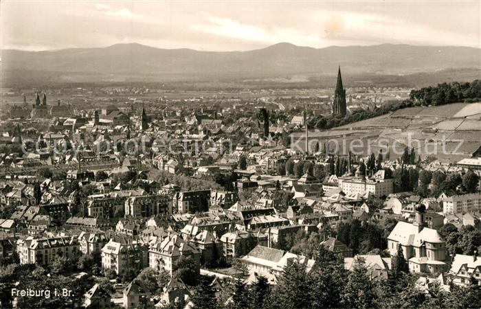 Freiburg Breisgau Stadtpanorama