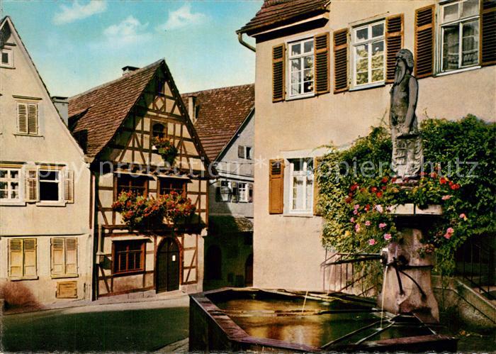 Marbach Neckar Schiller's Geburtshaus Wilder Mann Brunnen