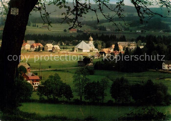 Hinterzarten Ansicht vom Waldrand aus Blick zur Katholischen Pfarrkirche