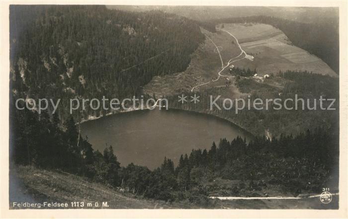 Feldberg Schwarzwald Landschaftspanorama mit Feldsee