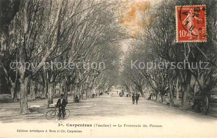 Carpentras La Promenade des Platanes