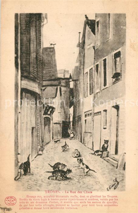 Troyes Aube La Rue des Chats