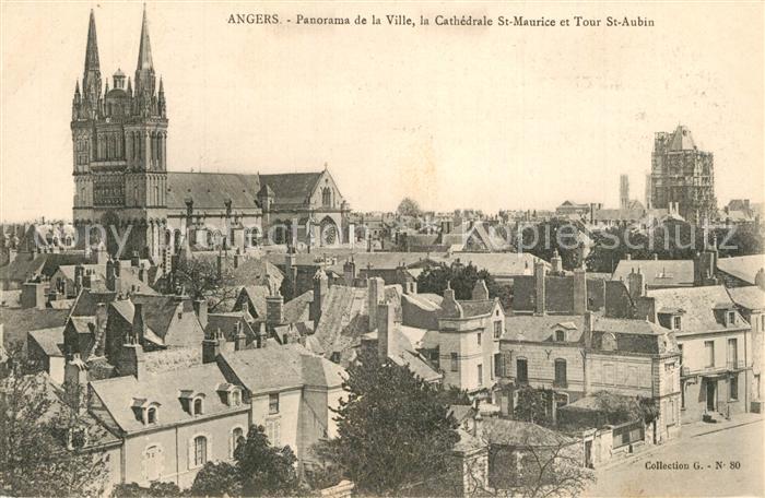 Angers Panorama Cathedrale Saint Maurice et Tour Saint Aubin
