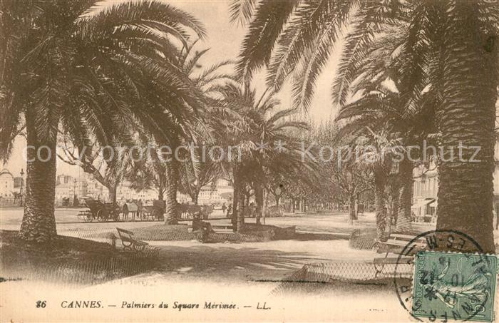 Cannes Alpes-Maritimes Palmiers du Square Mérimée