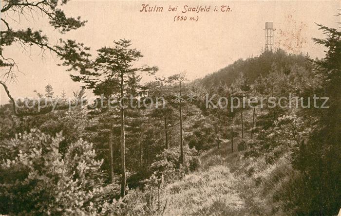 Kulm Saalfeld Landschaftspanorama Wald Aussichtsturm