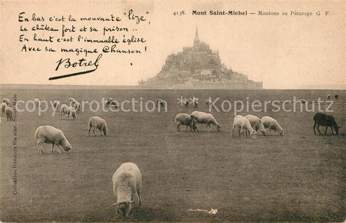 Mont-Saint-Michel Le Moutons au Paturage