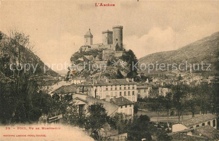 Foix Vu de Montgauzy Chateau