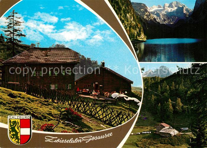 Gosauschmied Zwieselalm Bergsee Alpen