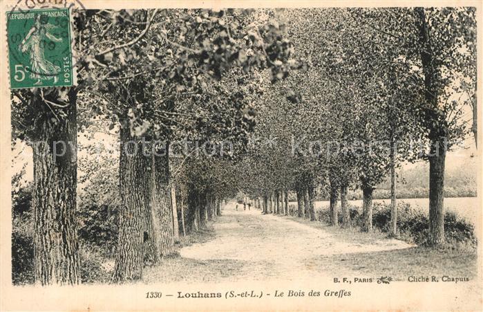Louhans Le Bois des Greffes