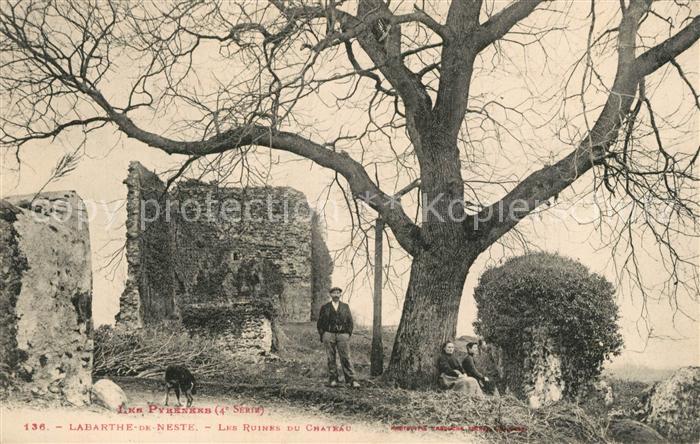 La Barthe-de-Neste Les Ruines du Chateau