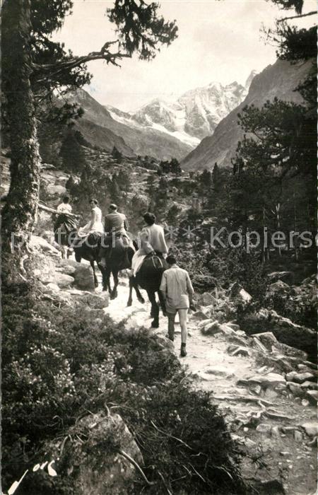 Cauterets Sur le Chemin du Lac de Gaube a dos de mulet Pyrénées