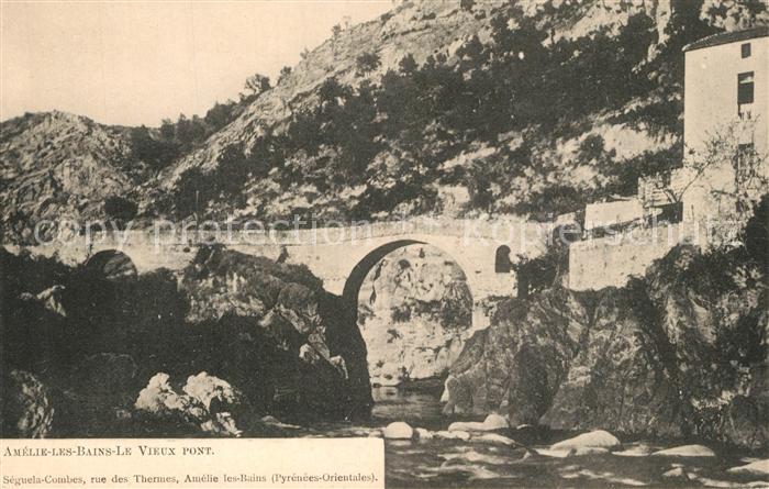 Amelie-les-Bains-Palalda Le vieux pont