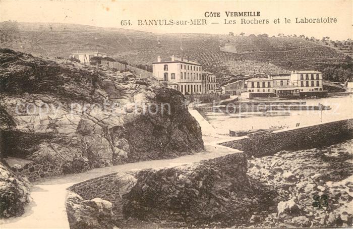 Banyuls-sur-Mer les Rochers et le Laboratoire