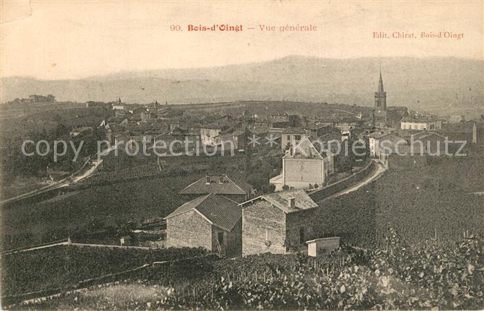 Bois-d Oingt Le Vue panoramique