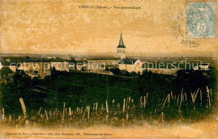 Chenas Vue panoramique