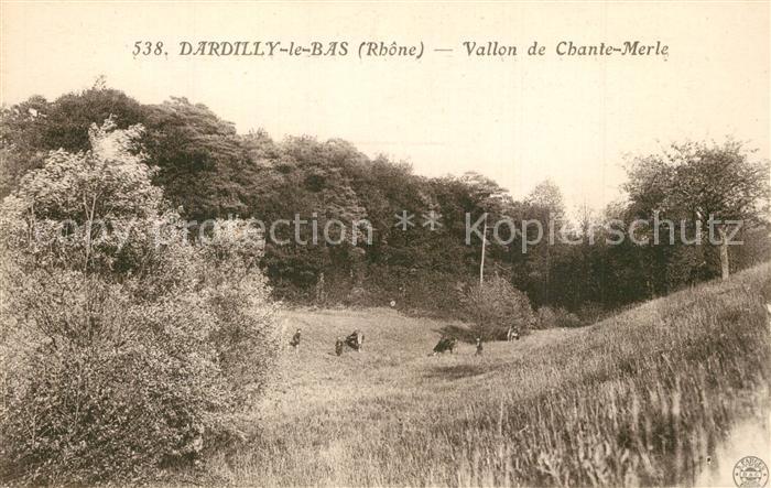 Dardilly Vallon de Chante Merle