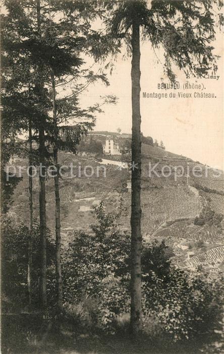 Beaujeu Rhone Montagne du Vieux Chateau