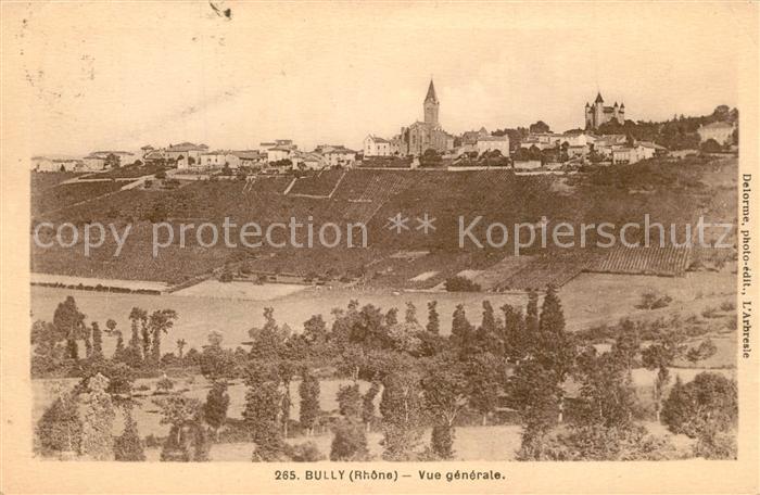 Bully Rhone Vue Generale