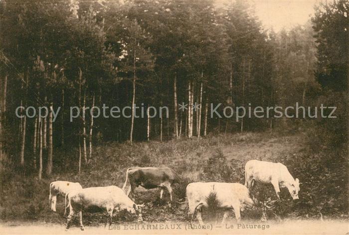 Les-Echarmeaux Le Paturage