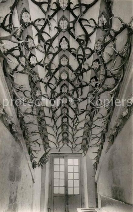 Foret de Rambouillet Chateau de la Celle-Les-Bordes Voule de grand Escalier